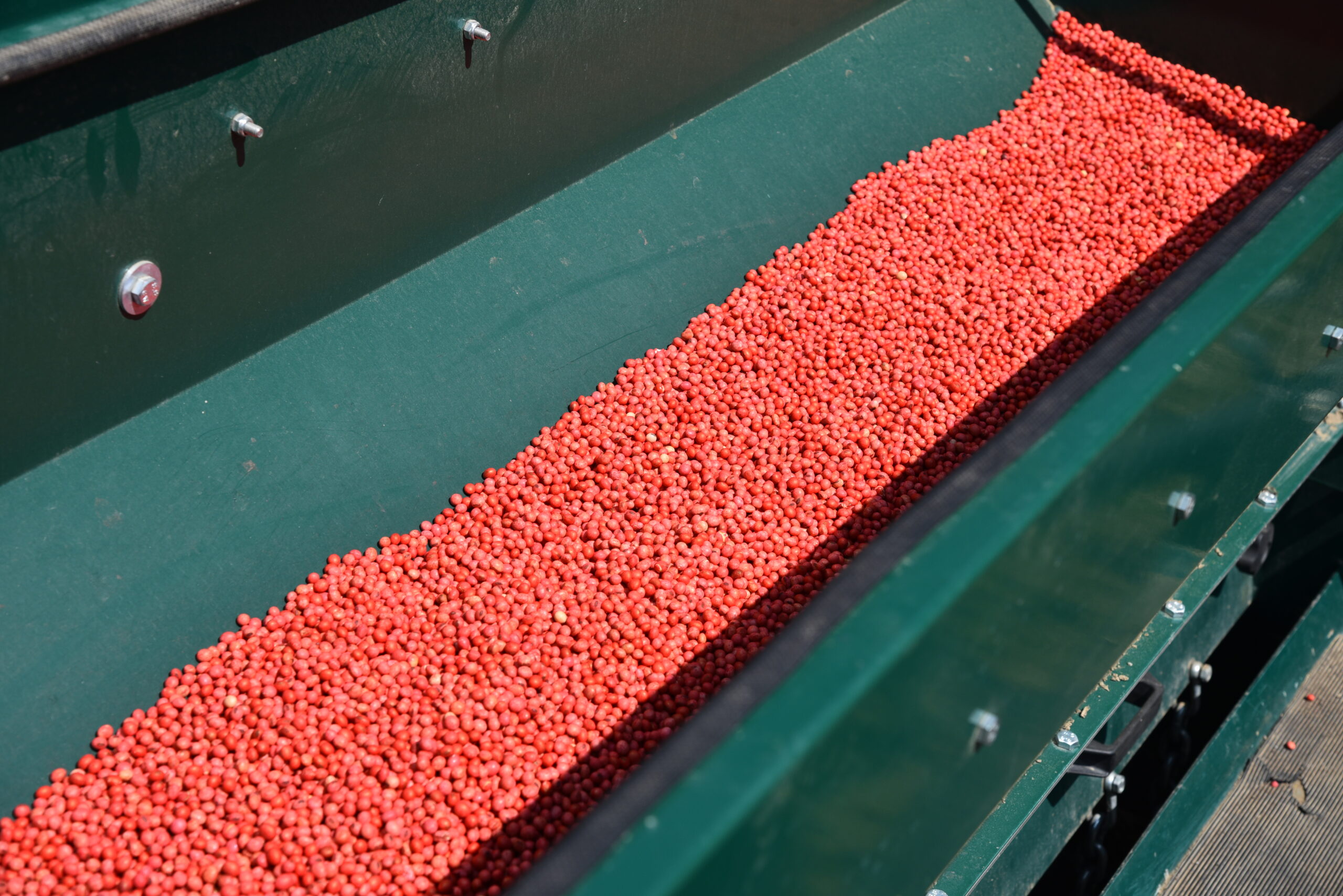 New PH Outdoors Genesis 5 drill with 60" width, 8 rows on 7.5" spacing, 3-point hitch, and an 8-bushel seed box.